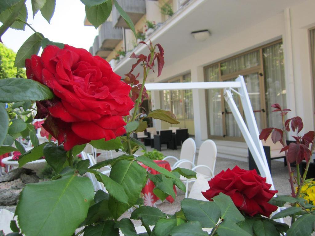花园酒店 贝拉里亚-伊贾马里纳 外观 照片